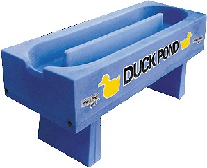 Duck Pond (With Ducks)