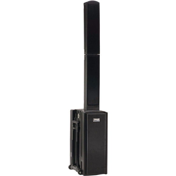 Portable Line Array Sound System