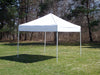 10 x 10 Pop-Up Tent