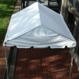 9 x 10 Marquee Tent Entrance