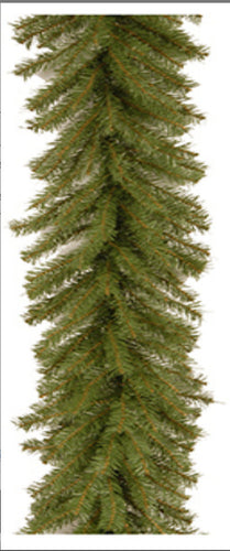 Norwood Fir Garland 18' x 12