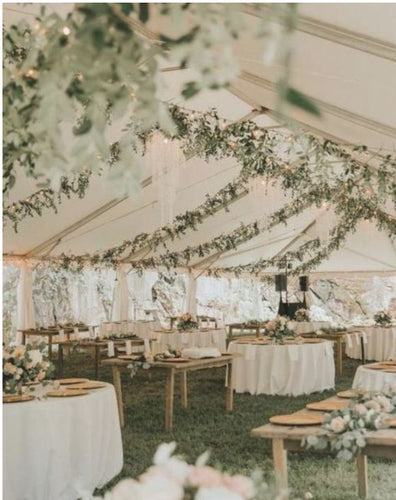 Ivy Bistro Lighting (Black Strand)