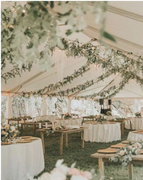 Ivy Bistro Lighting (Black Strand)