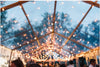 40 x 120 Frame Tent (Clear Top)